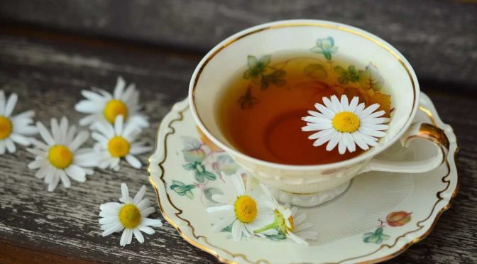 Warmer Tee im Sommer: Das ideale Erfrischungsgetränk